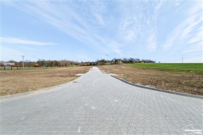 photo_11
