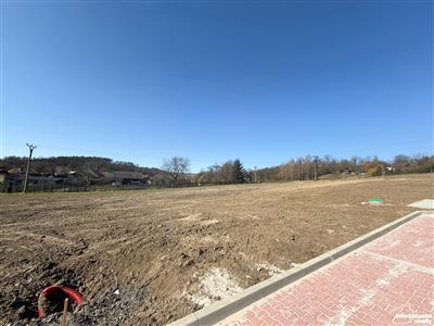 photo_4