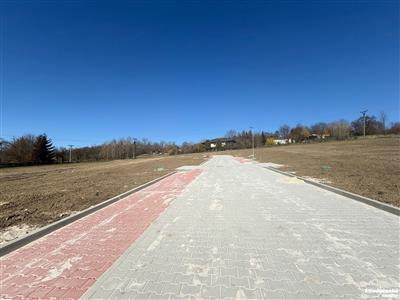 photo_8