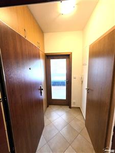 photo_12