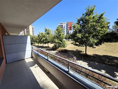 photo_5