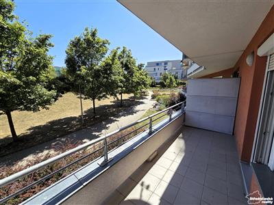photo_6