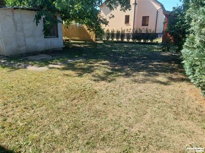 photo_24