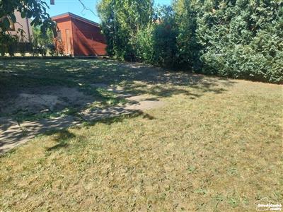 photo_3