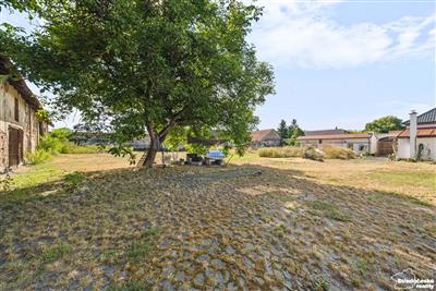 photo_38