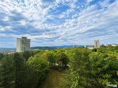 photo_10