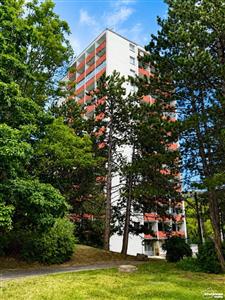 photo_11