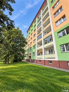 photo_11