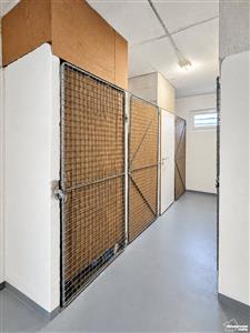 photo_18
