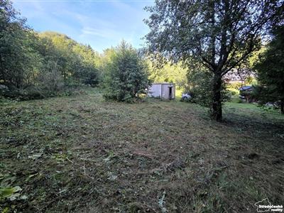 photo_3