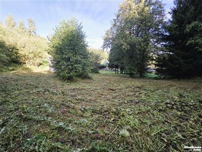 photo_4