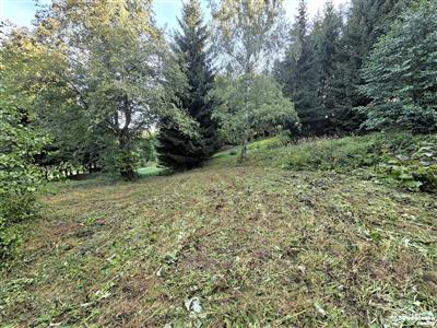 photo_5