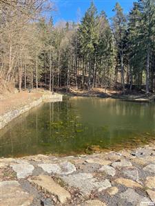 photo_10