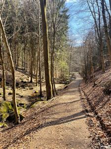 photo_11