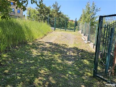 photo_10
