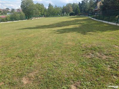 photo_6