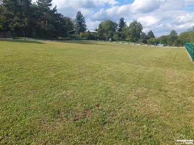 photo_7