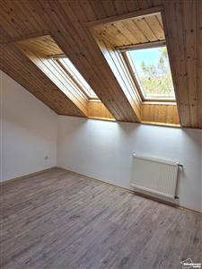 photo_11