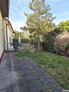 photo_19