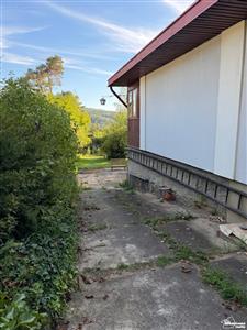 photo_6