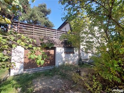 photo_5