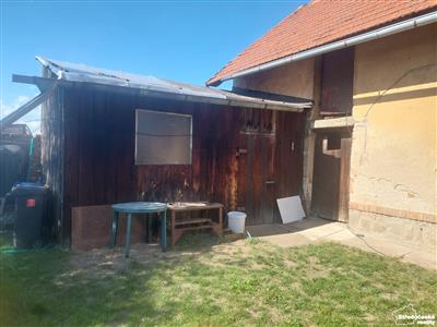 photo_10