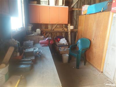 photo_11