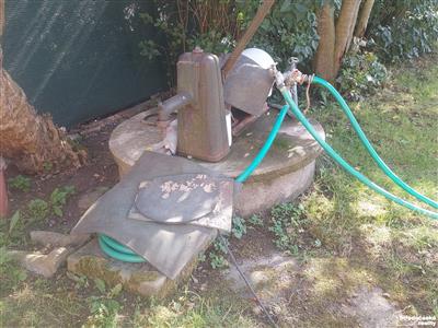 photo_16
