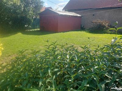 photo_3