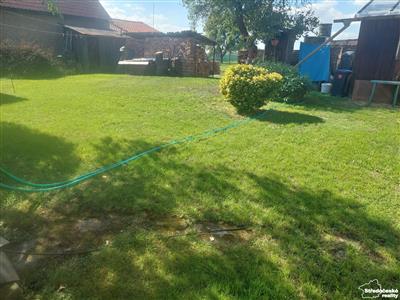 photo_5