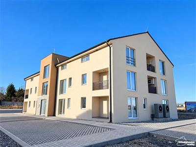 photo_7