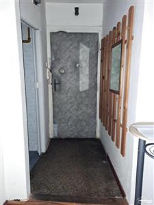 photo_8