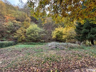 photo_2