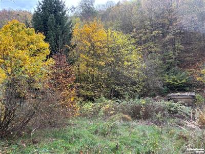 photo_4