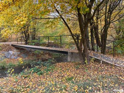 photo_6