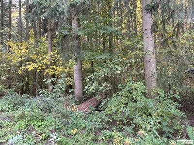 photo_3