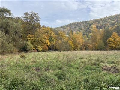 photo_3