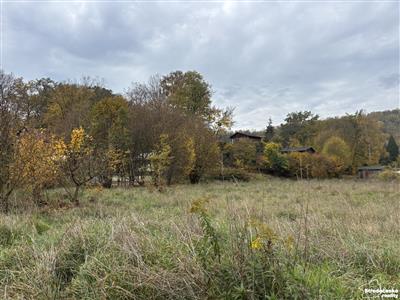 photo_5
