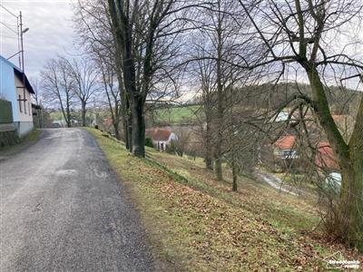 photo_8