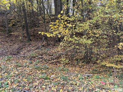 photo_2