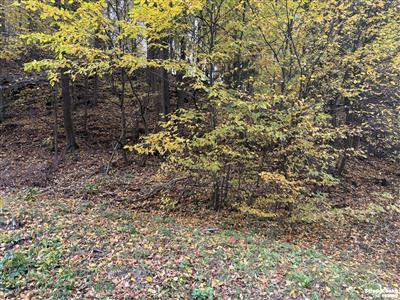 photo_3