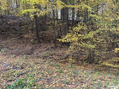 photo_4