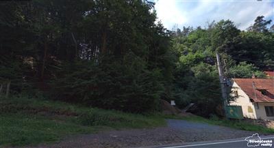 photo_6