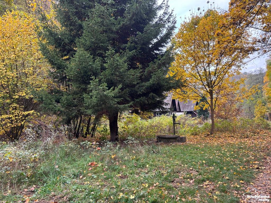 photo_1