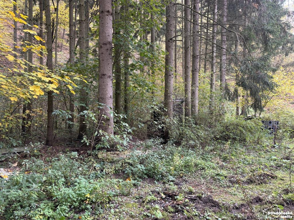 photo_1